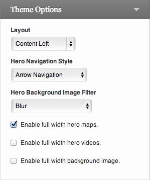 Theme Options customizer settings.